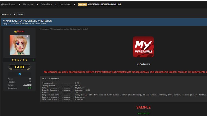 screenshot akun bjorka 169 Cek Fakta! Benarkah Bjorka Nyolong 44 Juta Data MyPertamina? Mitra IT | Your Trusted & Reliable Software Solutions MyPertamina