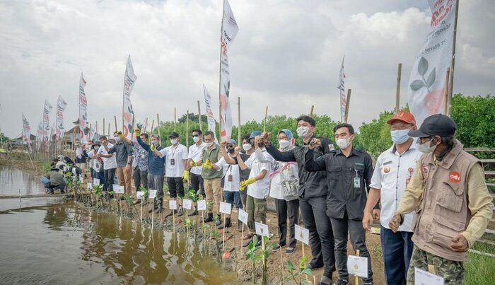 News 13 dok telkom 169 Tekan Krisis Iklim, Telkom Punya Program Ramah Lingkungan Mitra IT | Your Trusted & Reliable Software Solutions telkom