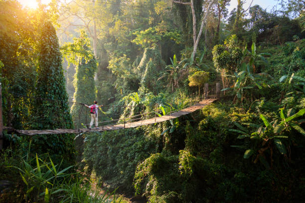 Backpacker on suspension bridge in rainforest  Mitra IT | Your Trusted & Reliable Software Solutions
